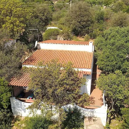 Locazione Turistica Basilico Costa Corallina
