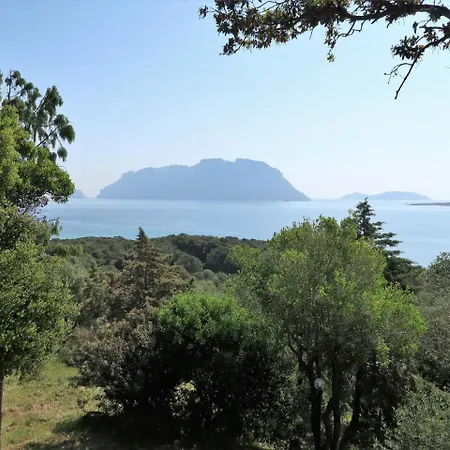 Locazione Turistica Basilico Costa Corallina